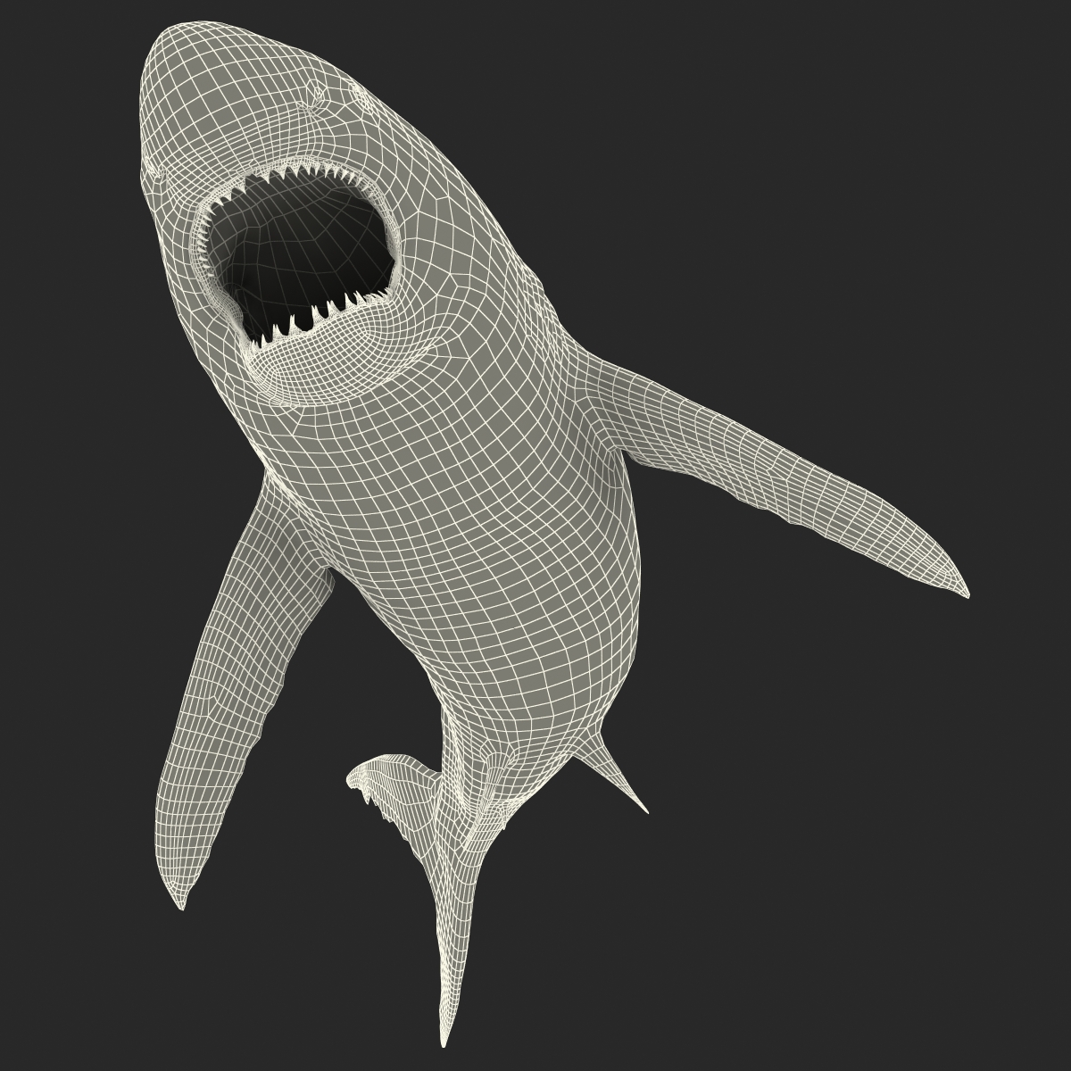 Great White Shark 2 3D model