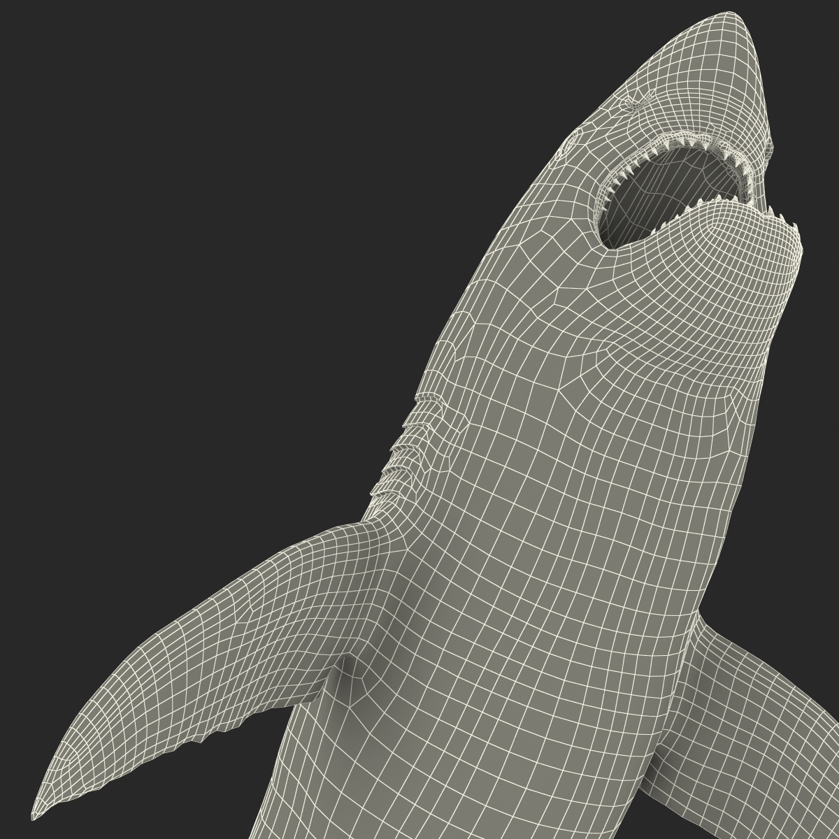 Great White Shark 2 3D model