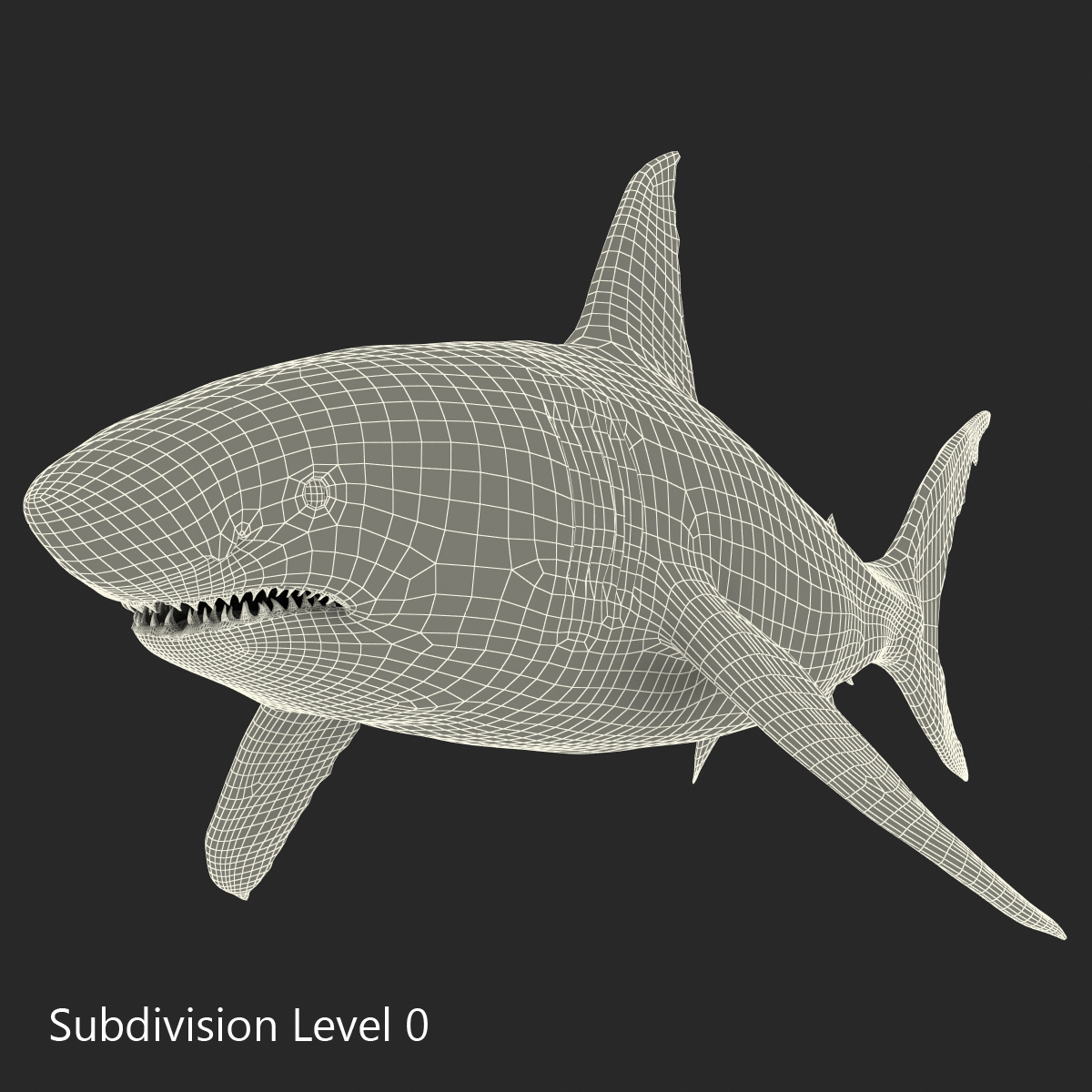 Great White Shark Rigged 3D model