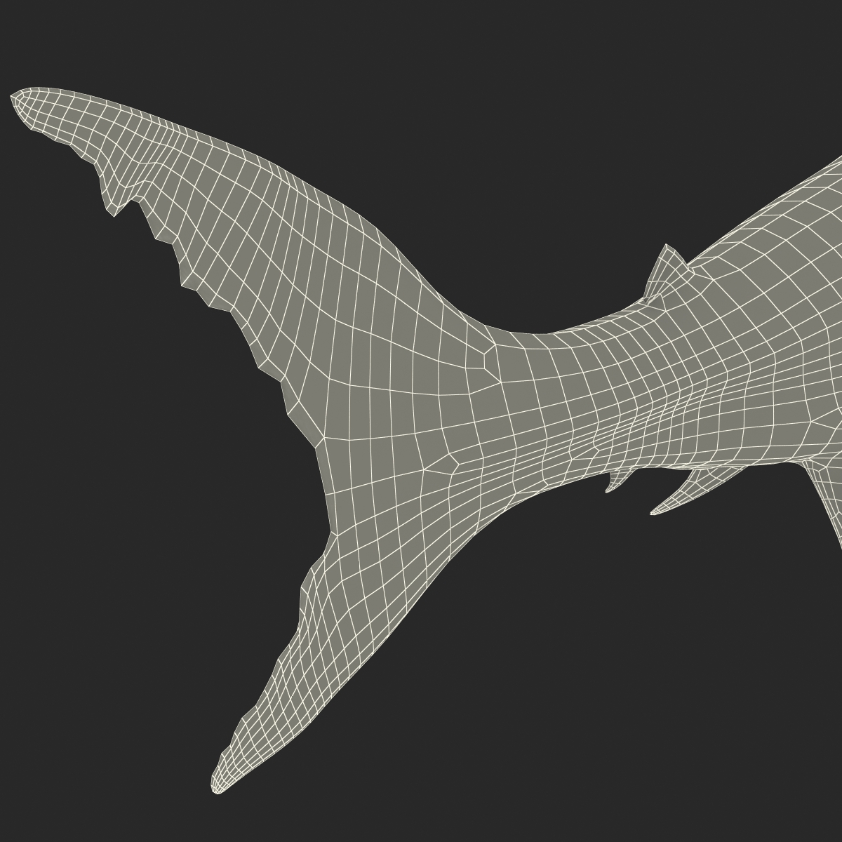 Great White Shark Rigged 3D model