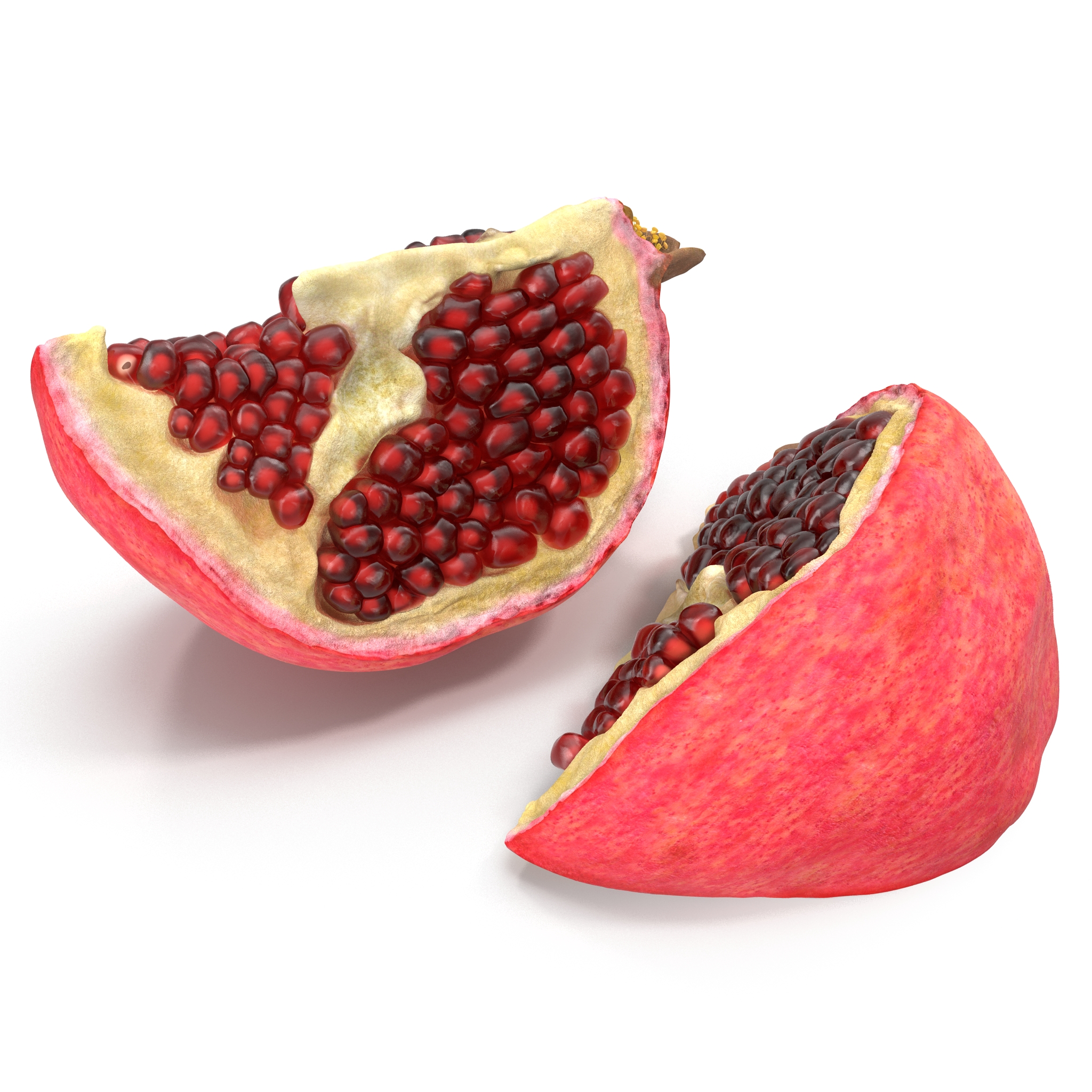 Pomegranate Slice 3D