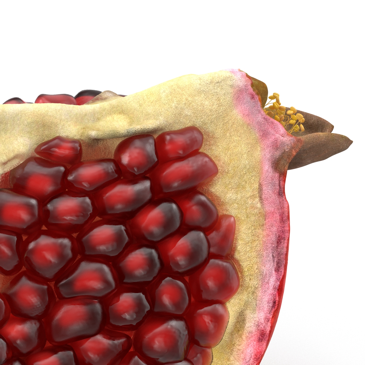 Pomegranate Slice 3D