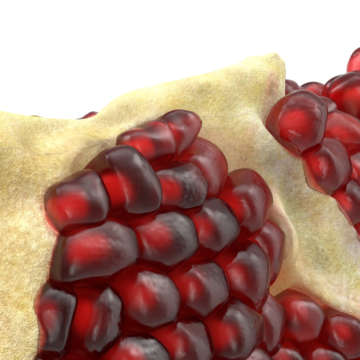 Pomegranate Slice 3D