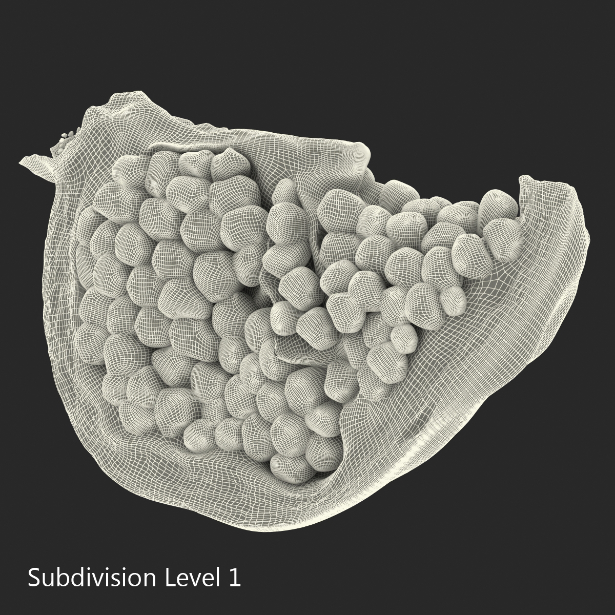 Pomegranate Slice 3 3D model