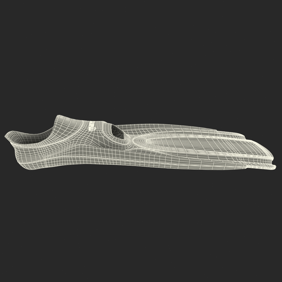 Swim Fins 2 Generic 3D model