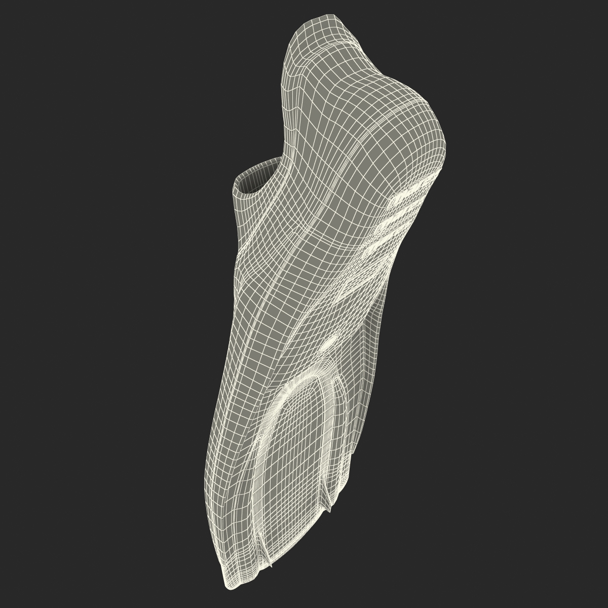 Swim Fins 2 Generic 3D model