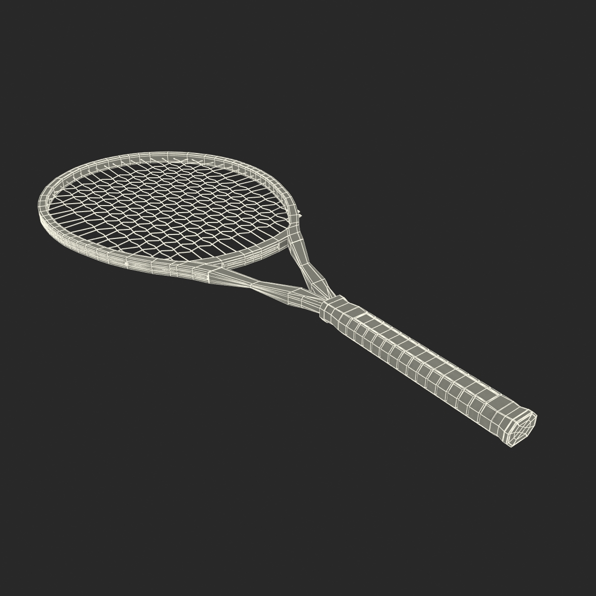 3D Tennis Racket Generic