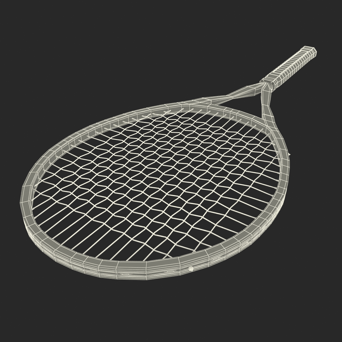 3D Tennis Racket Generic