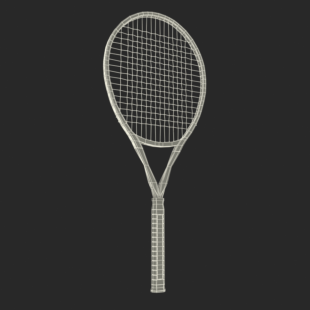 3D Tennis Racket Generic