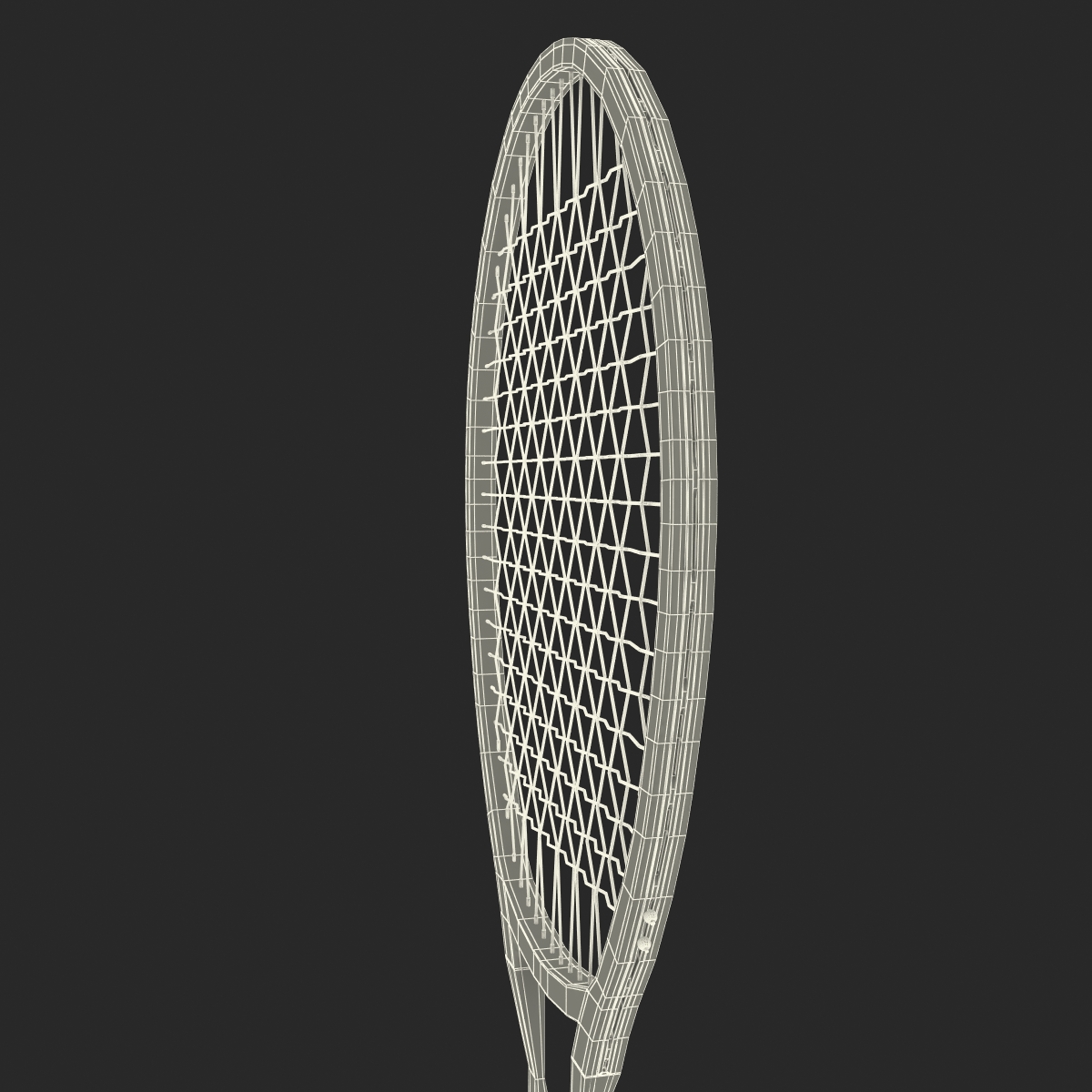 3D Tennis Racket Generic