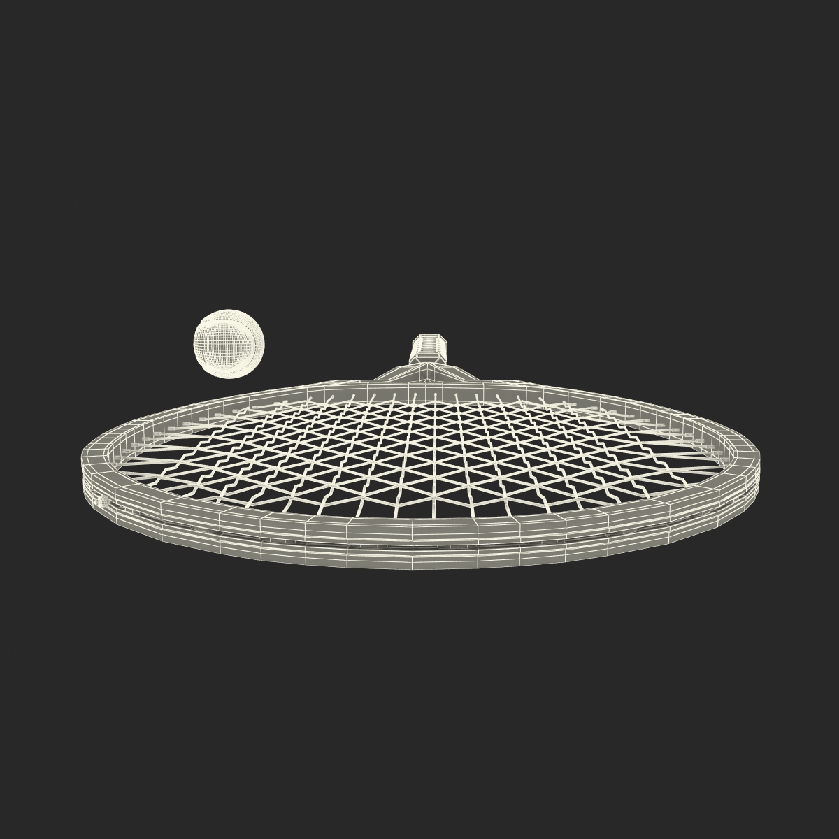 Tennis Racket and Ball 3D