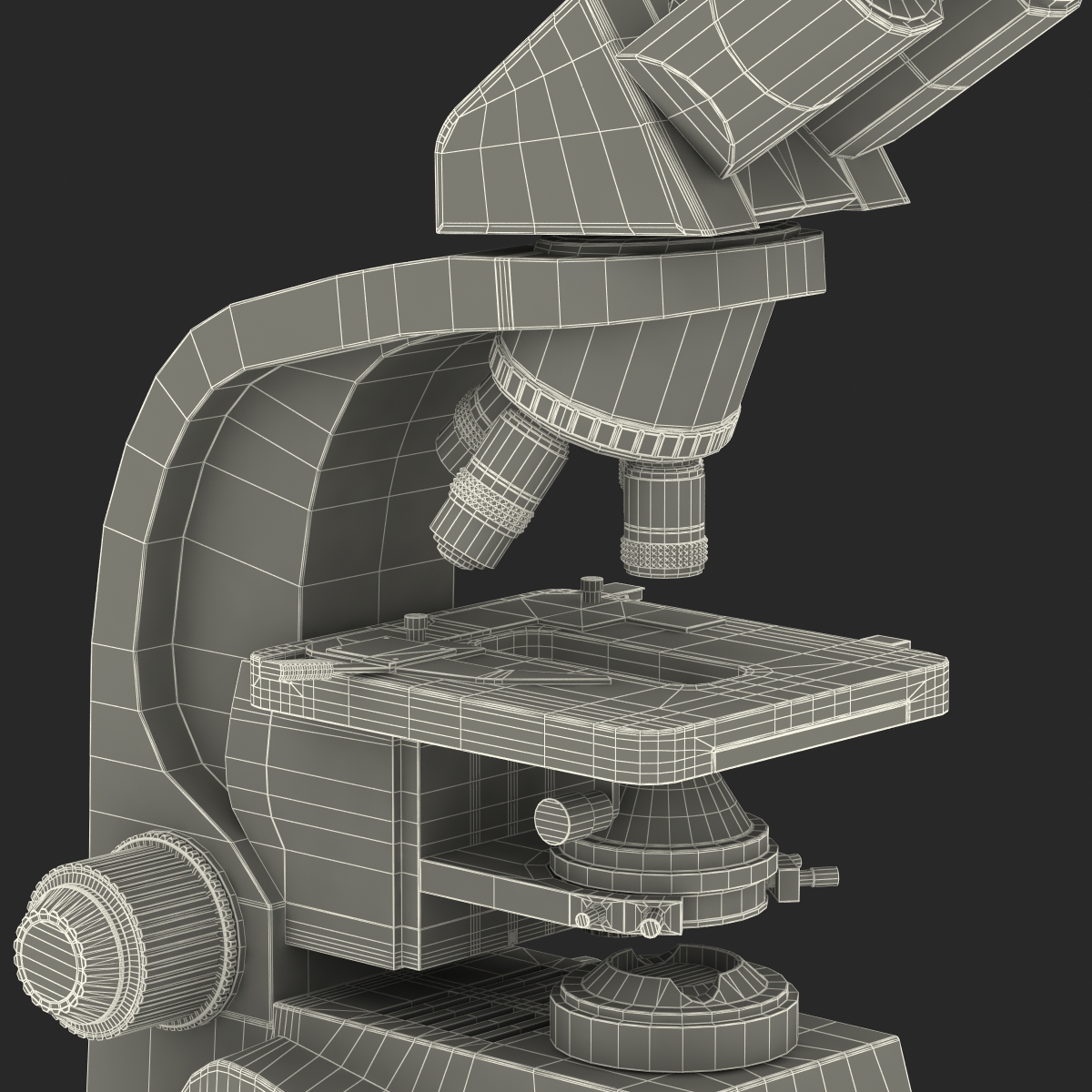 3D model Microscope