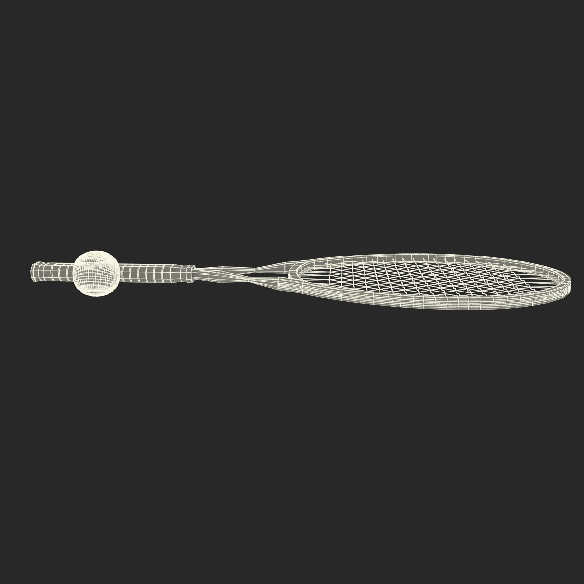 3D Tennis Racket and Ball with Fur