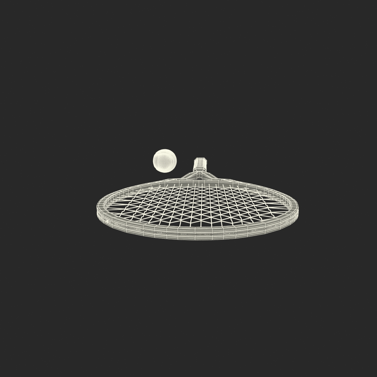 3D Tennis Racket and Ball with Fur