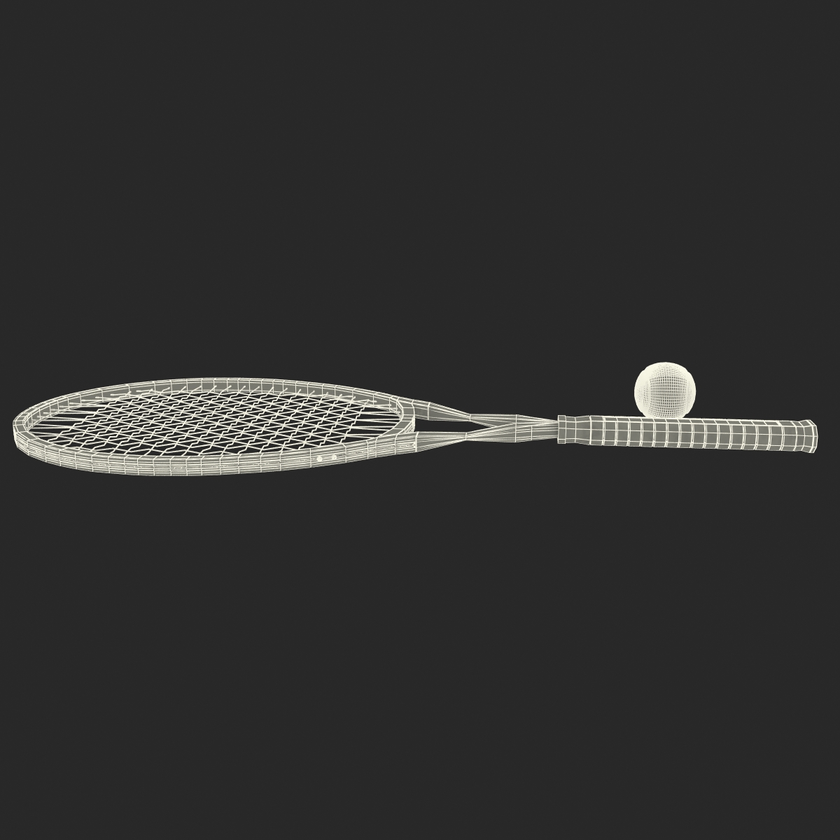 3D Tennis Racket and Ball with Fur