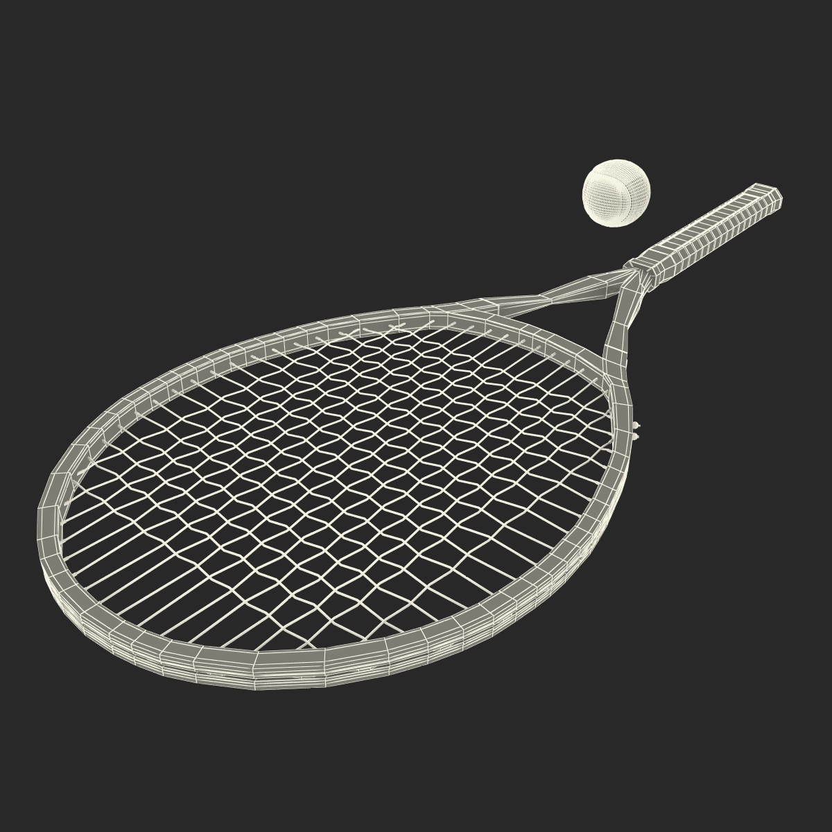 3D Tennis Racket and Ball with Fur