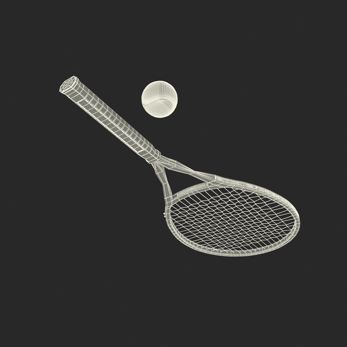 3D Tennis Racket and Ball with Fur