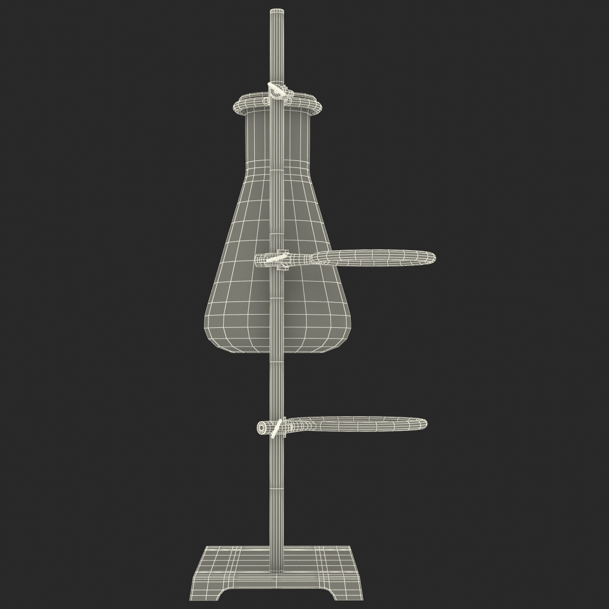 Ring Stand and 50 ml Erlenmeyer Flask 3D