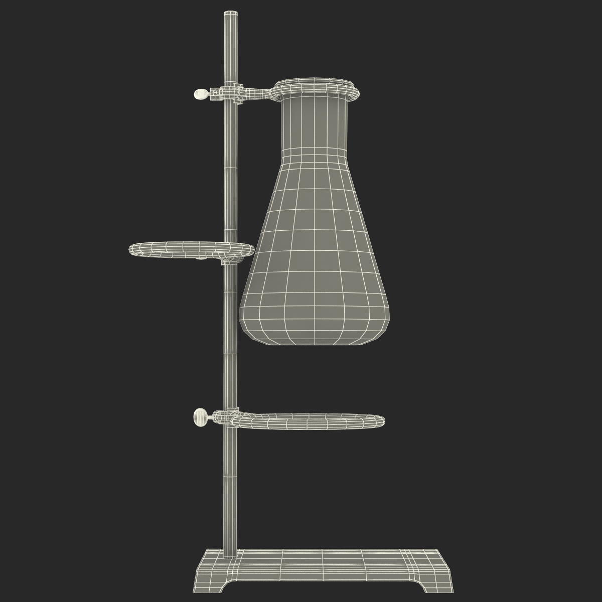 Ring Stand and 50 ml Erlenmeyer Flask 3D