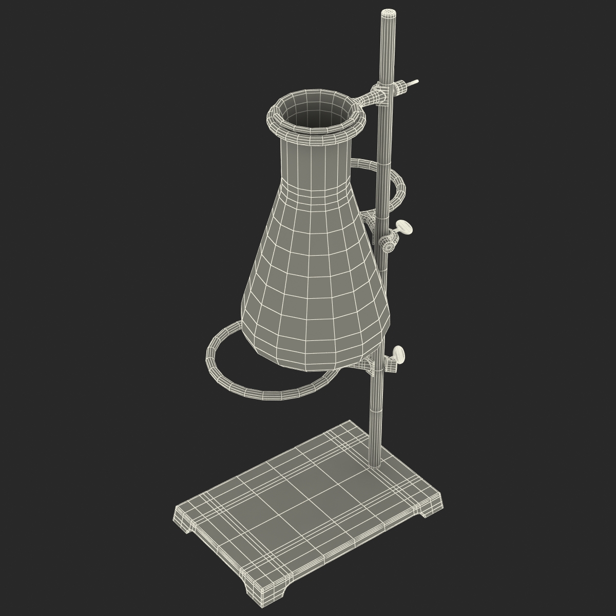 Ring Stand and 50 ml Erlenmeyer Flask 3D