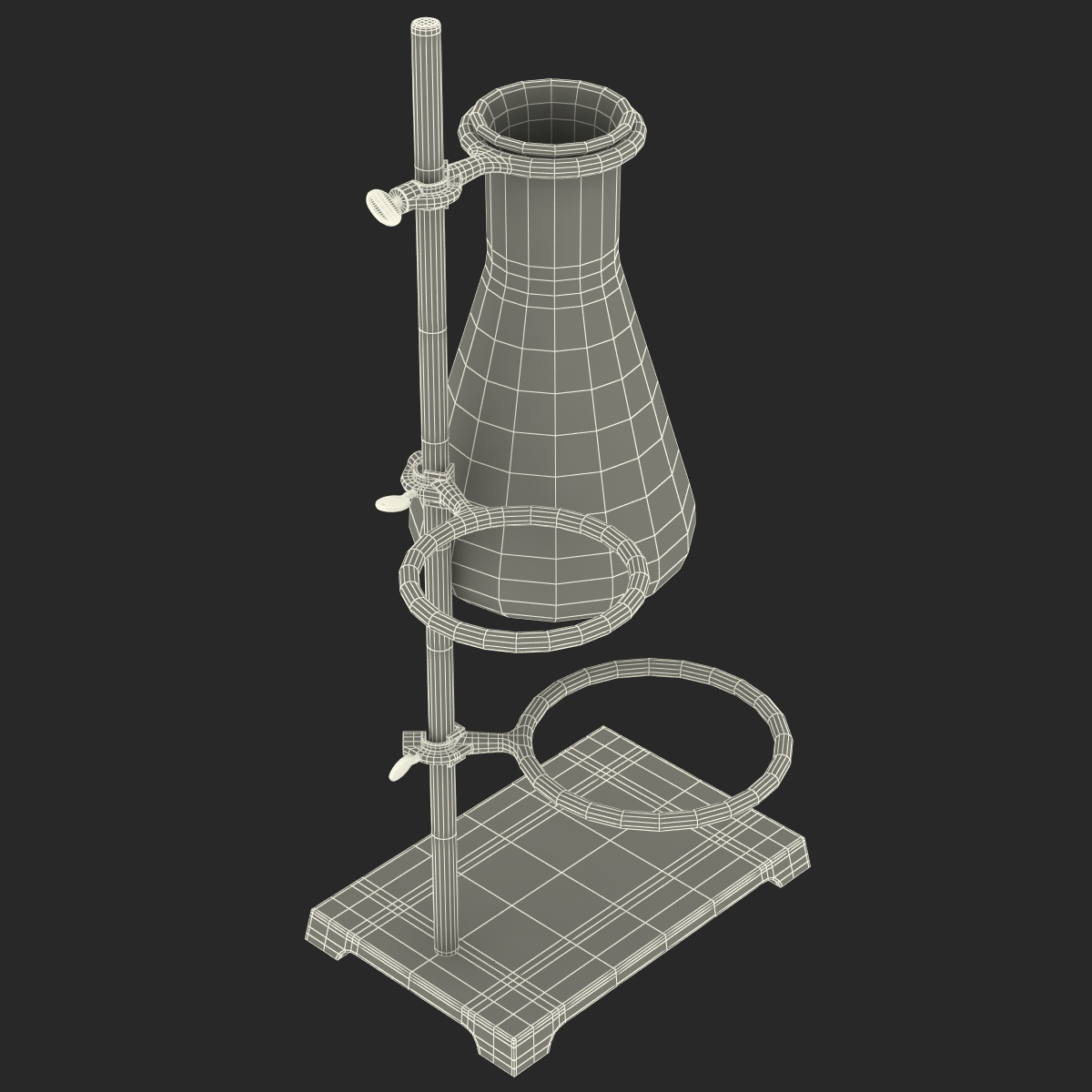 Ring Stand and 50 ml Erlenmeyer Flask 3D