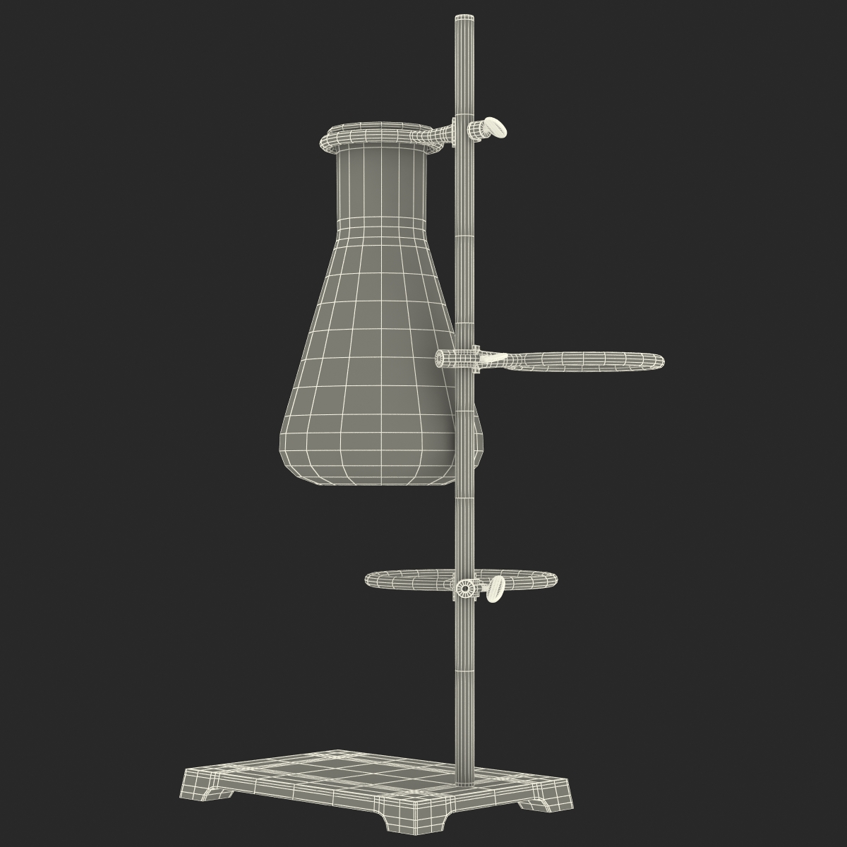 Ring Stand and 50 ml Erlenmeyer Flask 3D