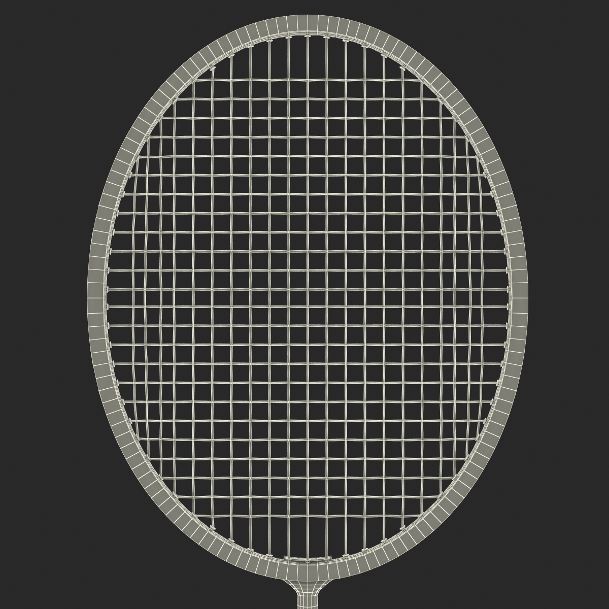 3D Badminton Racket