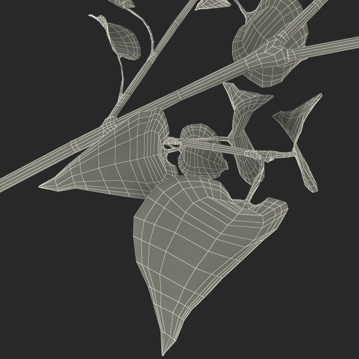 3D model Syringa Lilac 4