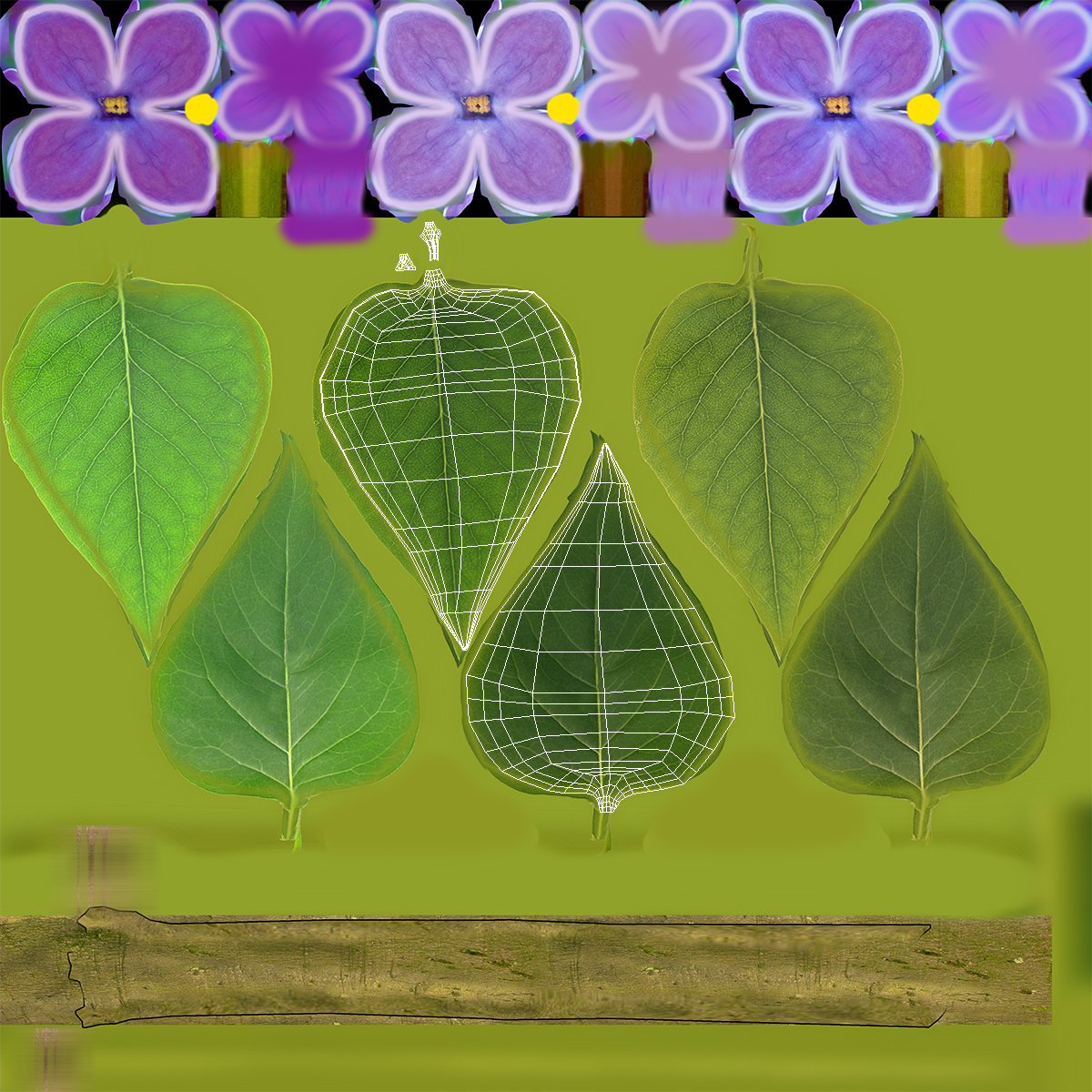 3D model Leaf 2