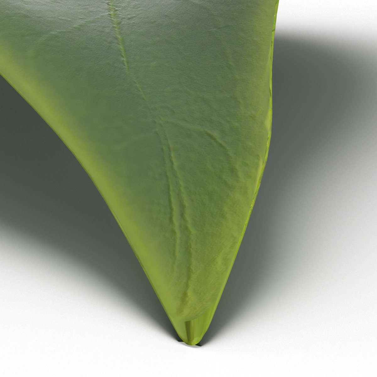 3D model Leaf 2