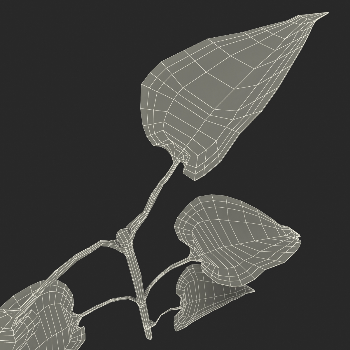 3D model Branch With Leaves 2