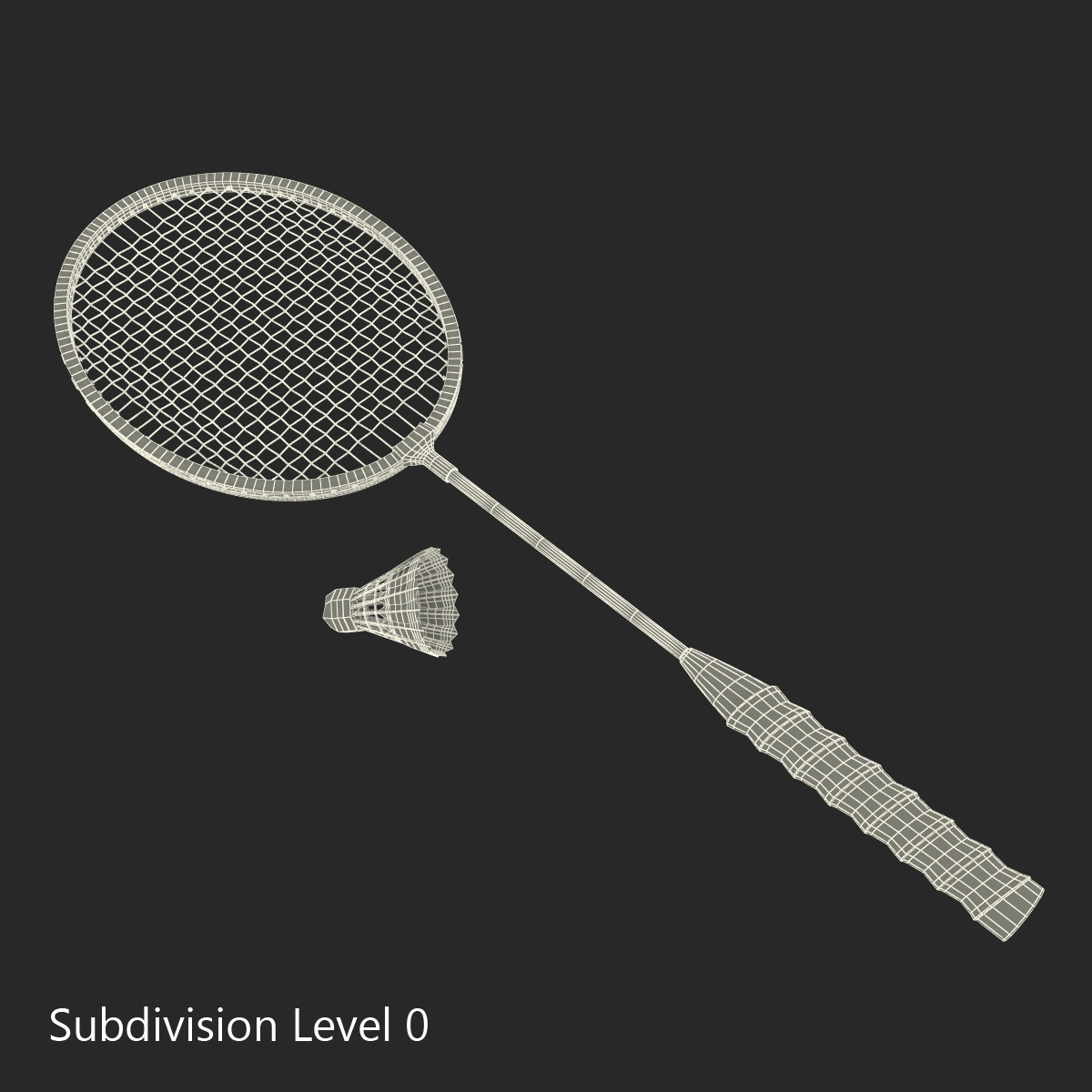 Badminton Racket and Shuttlecock 3D