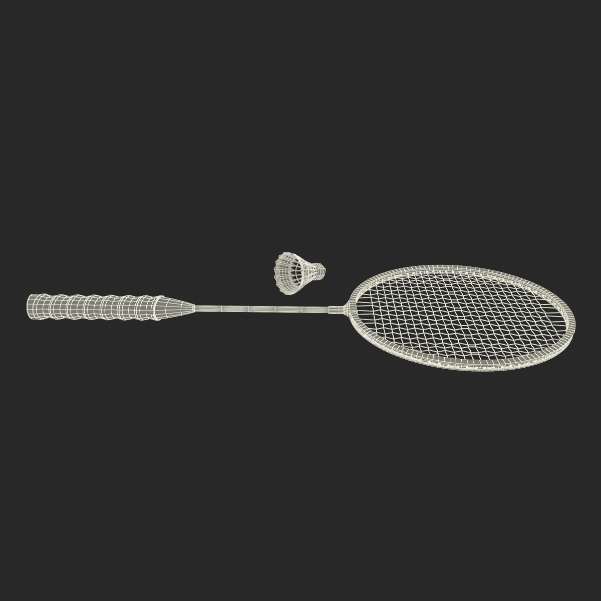 Badminton Racket and Shuttlecock 3D