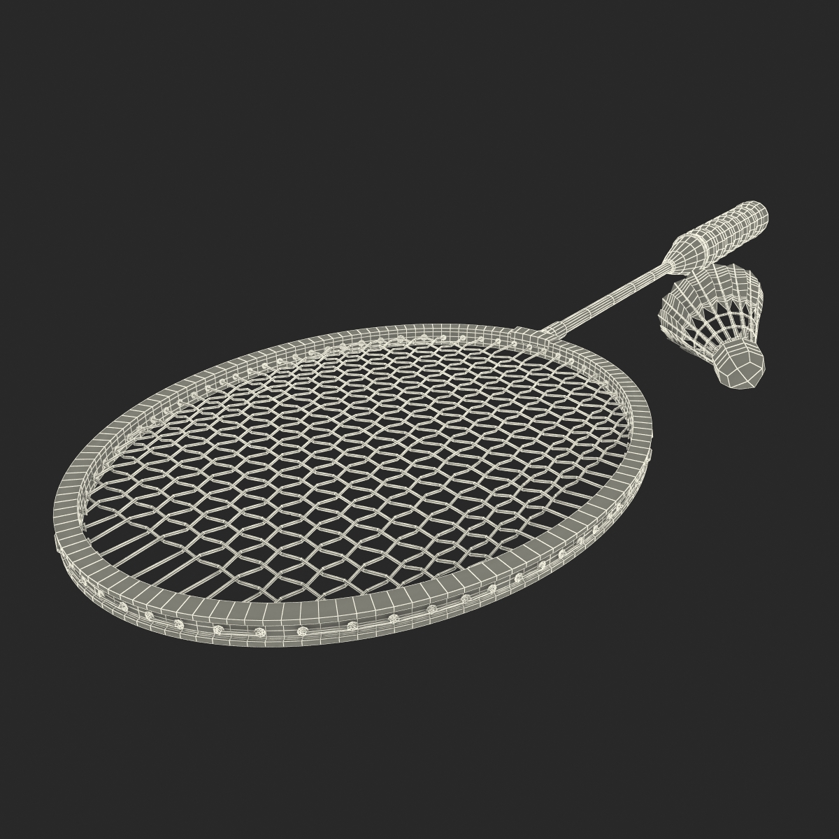 Badminton Racket and Shuttlecock 3D