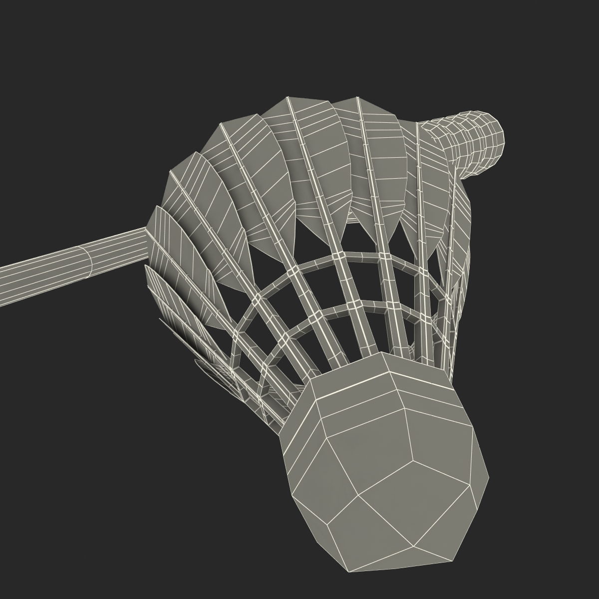 Badminton Racket and Shuttlecock 3D