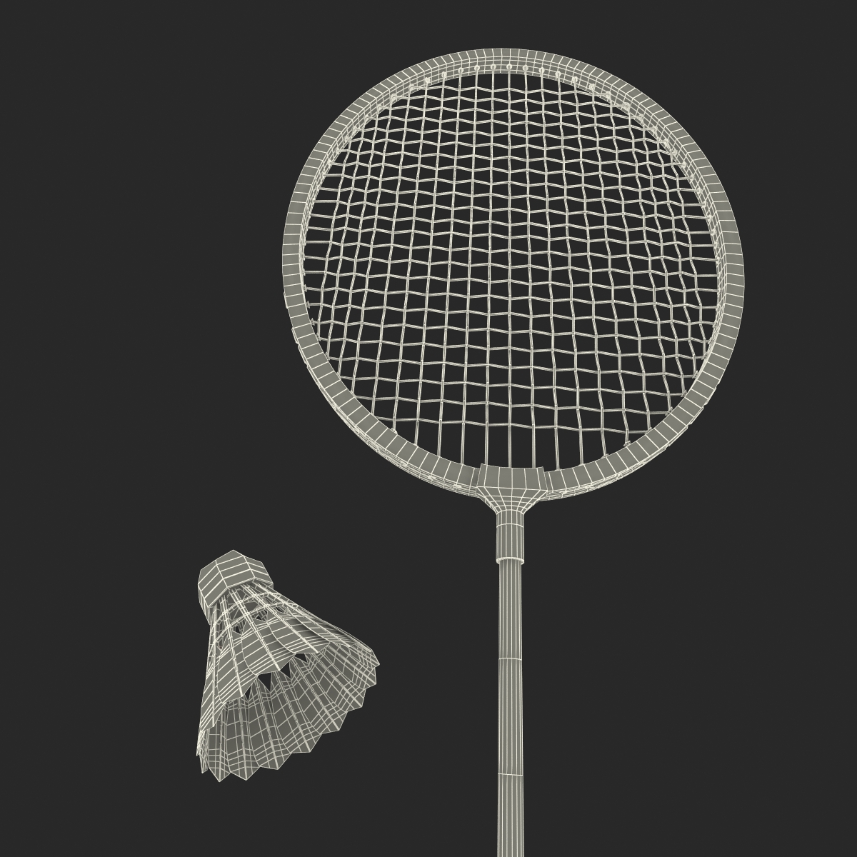 Badminton Racket and Shuttlecock 2 3D model