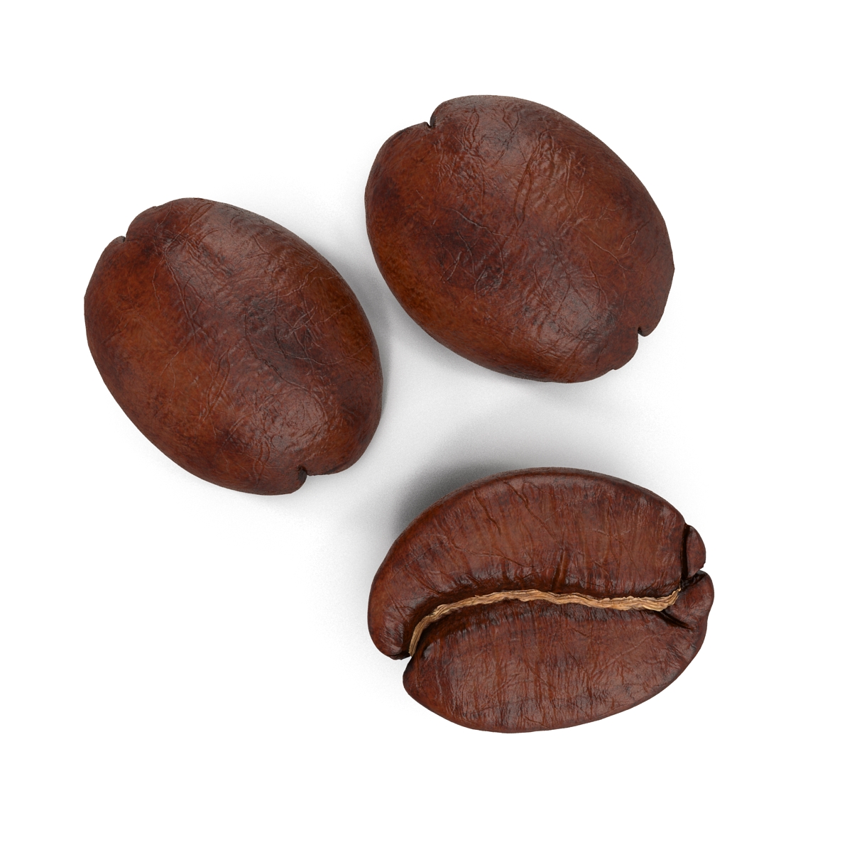 Roasted Coffee Bean 3D model