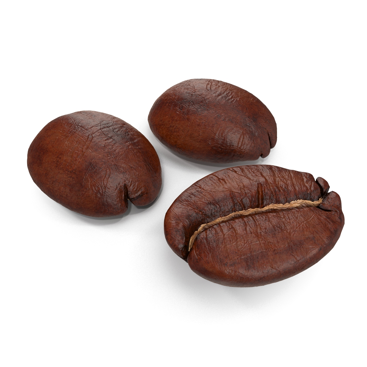 Roasted Coffee Bean 3D model