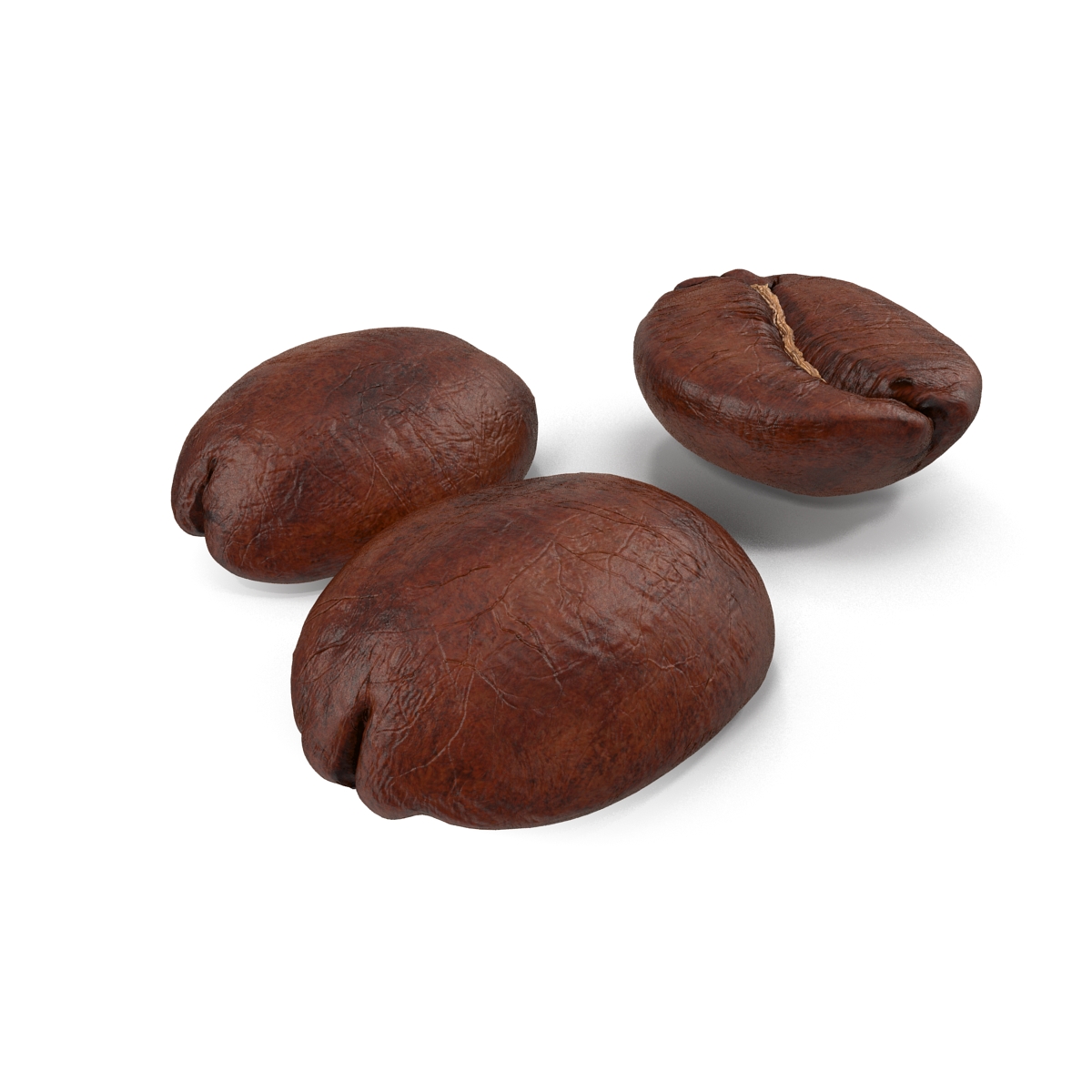 Roasted Coffee Bean 3D model