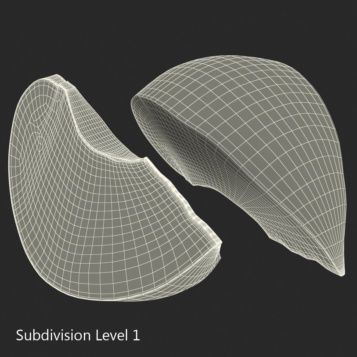 3D Sliced Plum