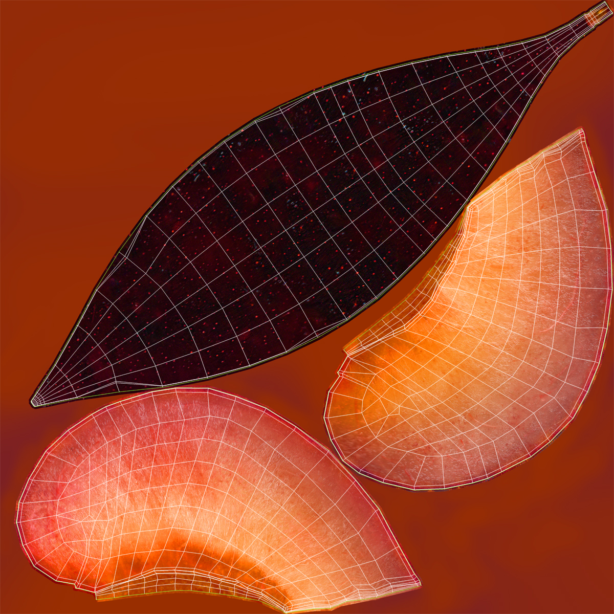 3D Sliced Plum 3 model