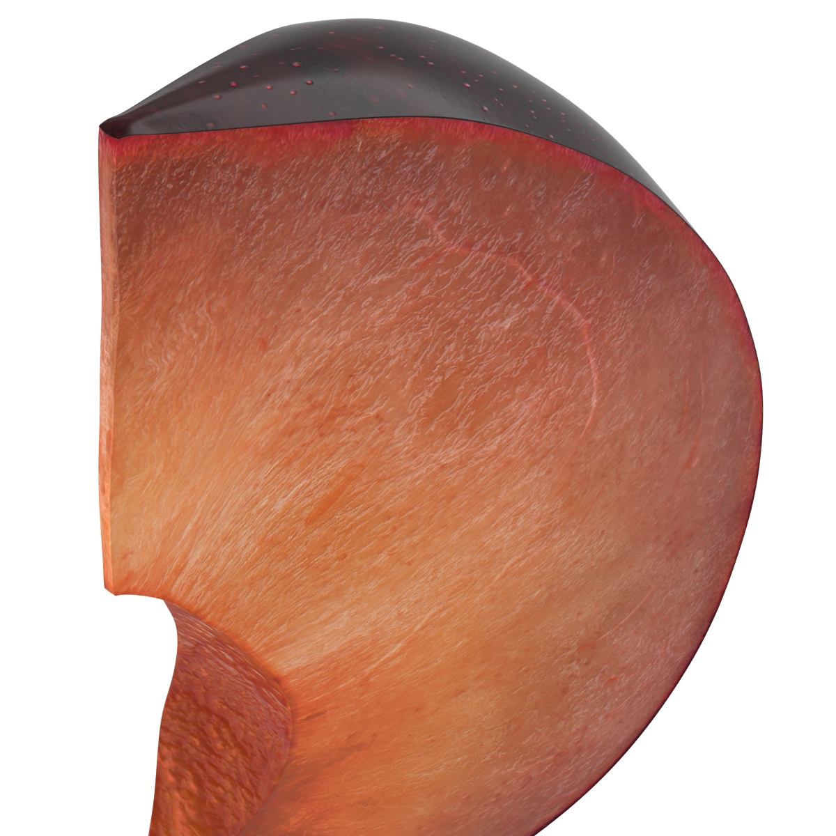 3D Sliced Plum 3 model