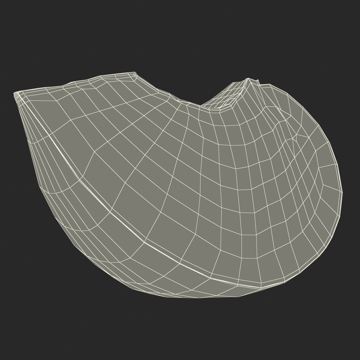 3D Sliced Plum 3 model