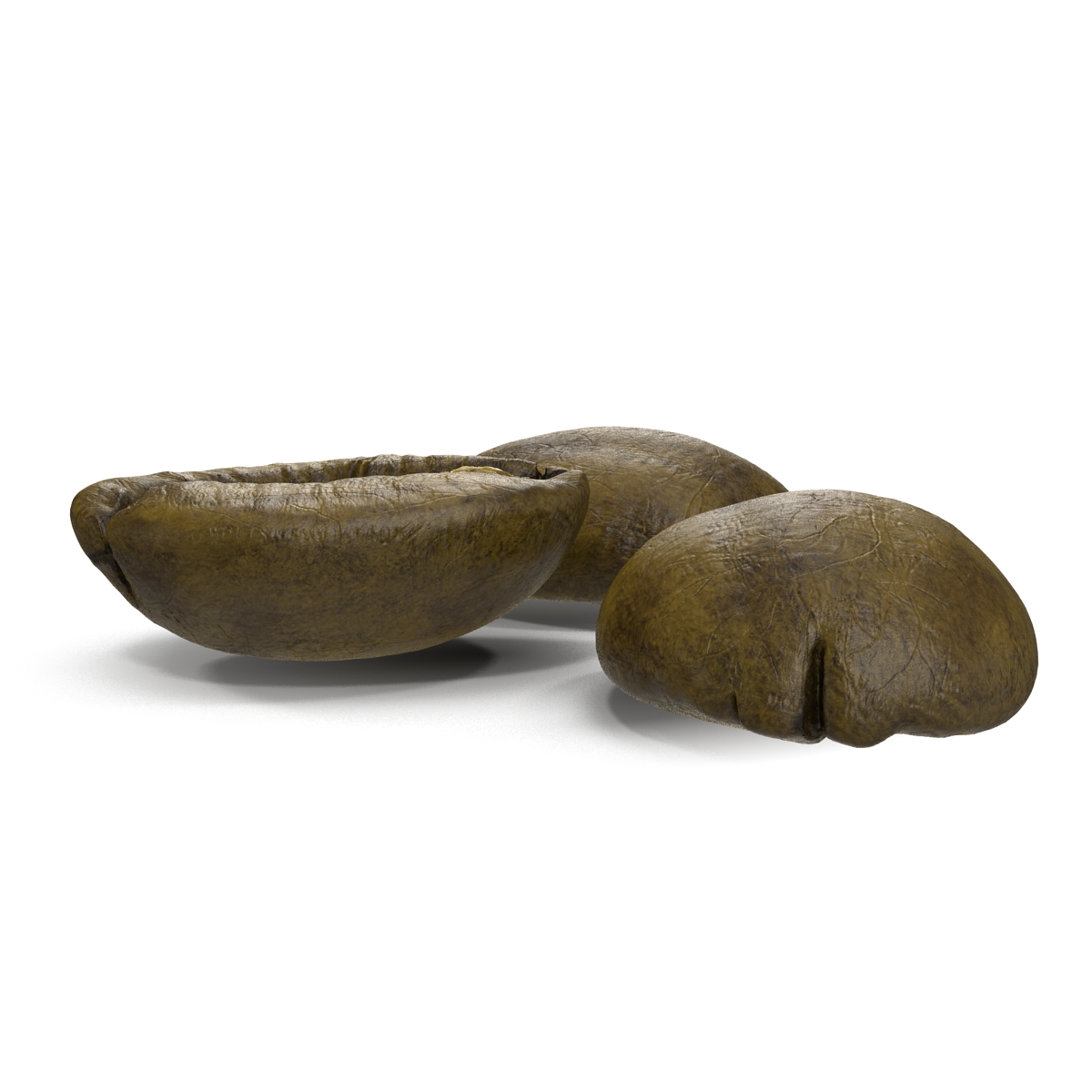 3D model Roasted Green Coffee Bean