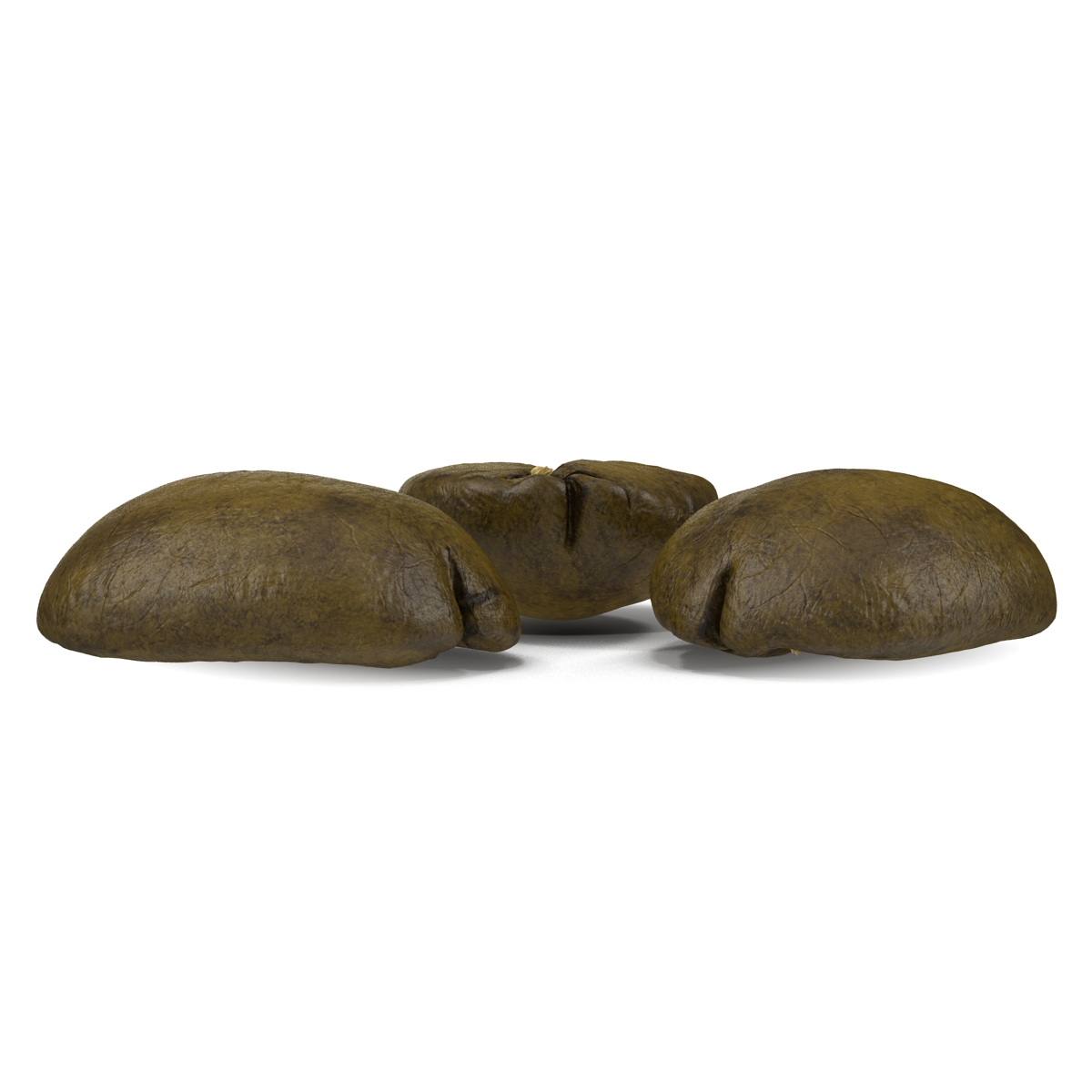 3D model Roasted Green Coffee Bean