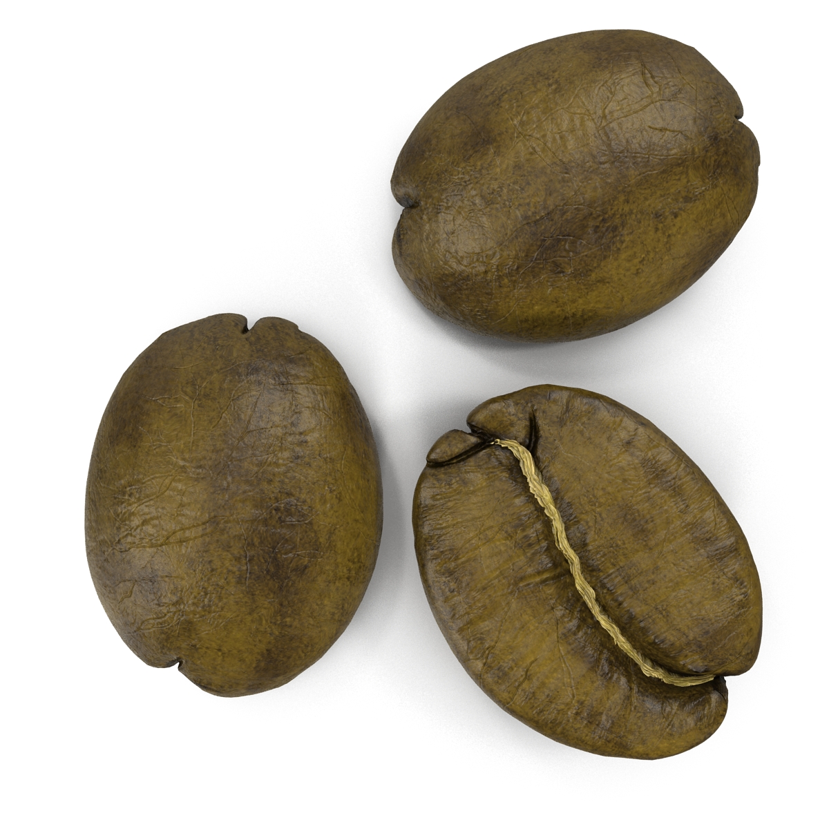 3D model Roasted Green Coffee Bean