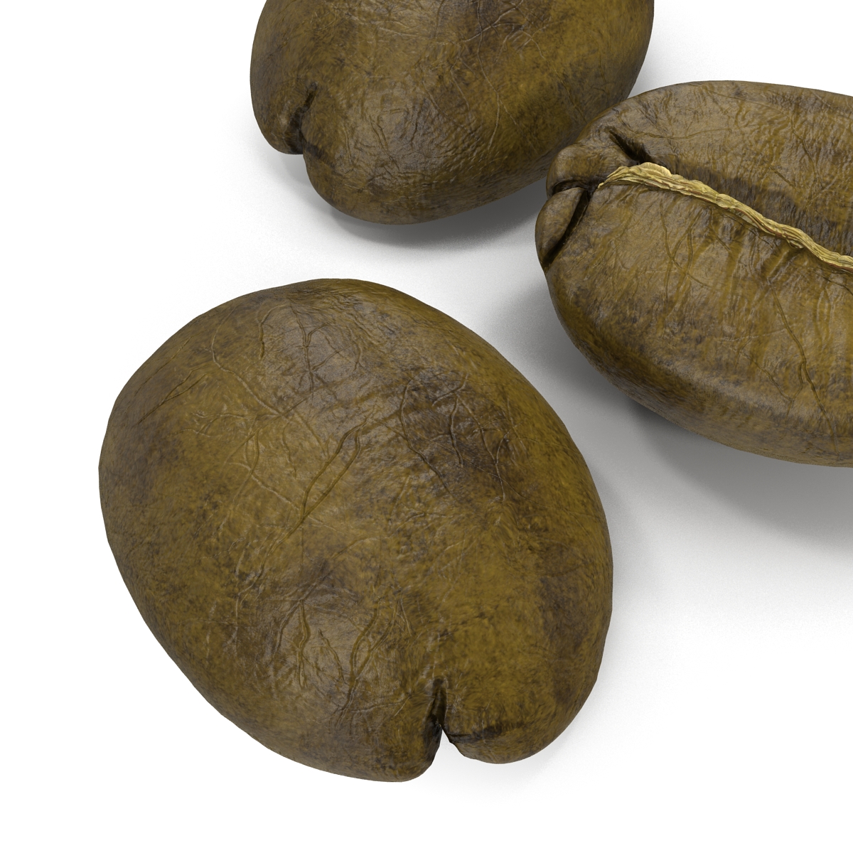 3D model Roasted Green Coffee Bean