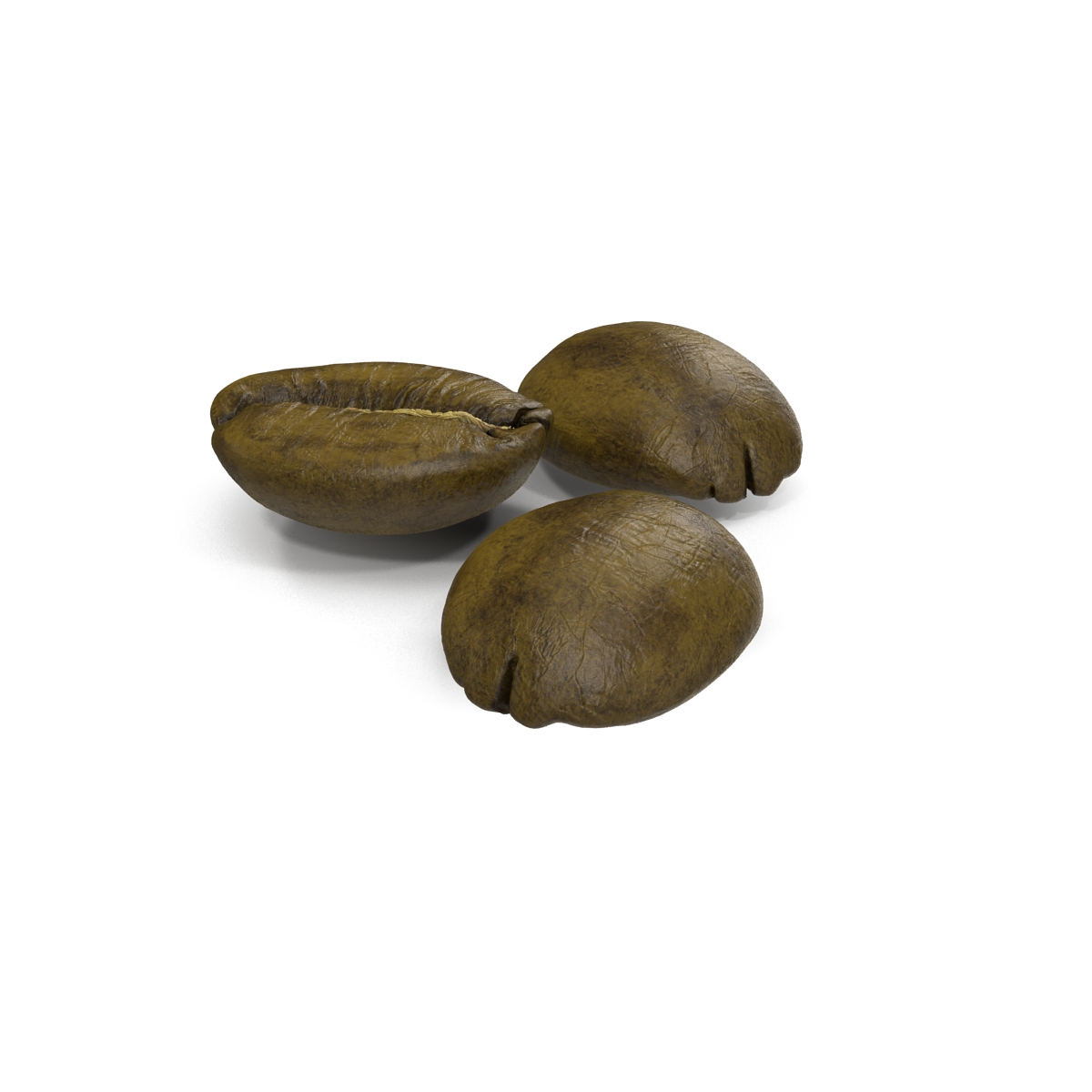 3D model Roasted Green Coffee Bean