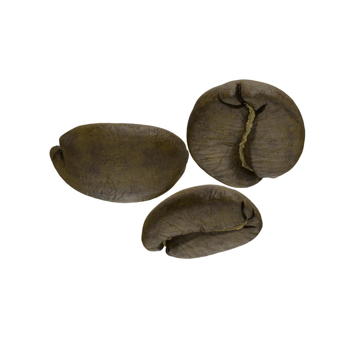 3D model Roasted Green Coffee Bean