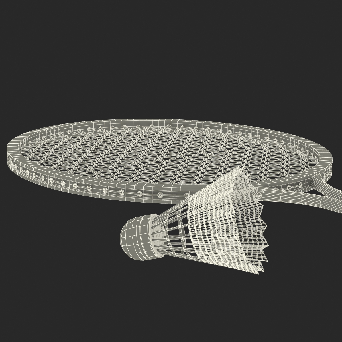 Badminton Racket 2 and Shuttlecock 3D model